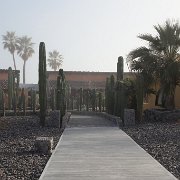 IMG 0001 2 (88)